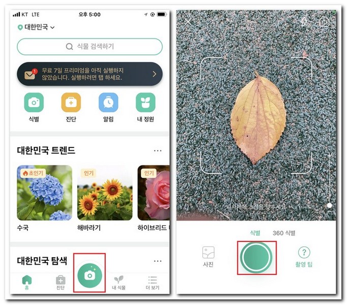 나무 잎 검색 찾기 방법