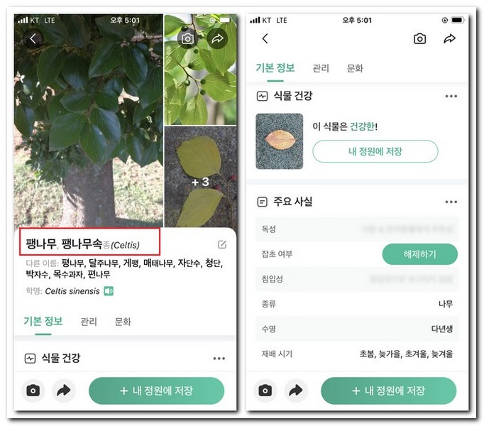 나무 잎 검색 찾기 방법