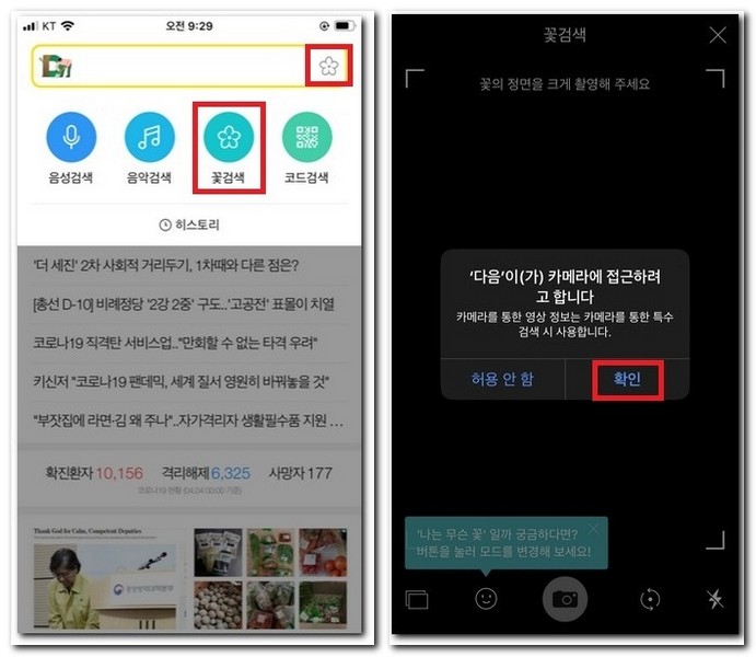 다음앱으로 카메라로 찍어서 꽃검색하기